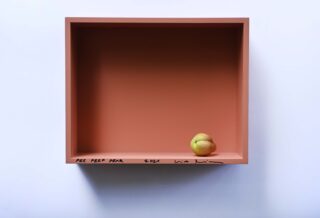 In einer großen, leeren, matt-rosa Schachtel, die an einer weißen Wand befestigt ist, liegt eine einzelne Birne; am unteren Rand der Schachtel sind ein Text und eine Unterschrift zu sehen.