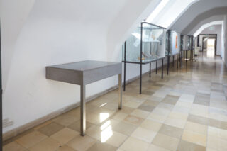 Ein gefliester Flur in einem Museum oder einer Galerie mit Glasvitrinen auf der einen Seite und einem an der Wand montierten Tisch mit einem einzelnen Bein.