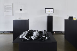 Eine Galerieausstellung umfasst schwarze Sockel mit abstrakten Skulpturen, eine durchsichtige Box und einen Monitor, der digitale Kunst vor einer weißen Wand zeigt.