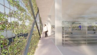 Eine Person geht auf einem überdachten Außenweg neben einem Metallgitter mit grünen Pflanzen entlang, neben einem Gebäude mit Glaswänden, in dem sich Menschen befinden.