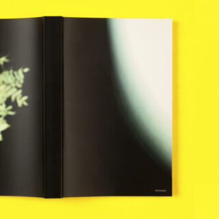 Auf einem gelben Untergrund liegt ein aufgeschlagenes Buch. Links ist eine Seite mit einer verschwommenen Pflanze zu sehen, rechts ein dunkler Farbverlauf mit weißem Rand. In der Ecke steht das Wort „Heimaten“.