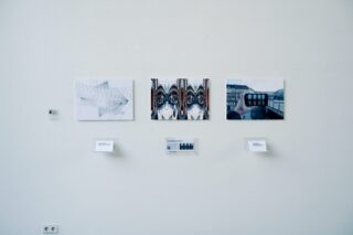 An einer weißen Wand sind drei Fotos angebracht, darunter jeweils ein kleines weißes Schild mit beschreibendem Text.