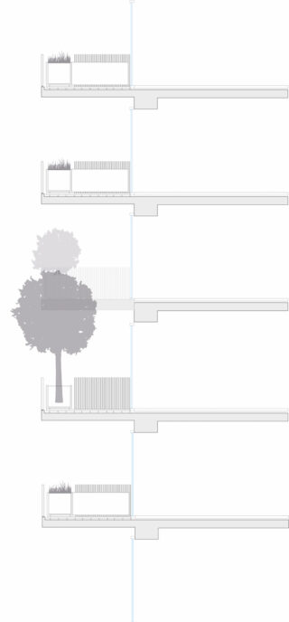 Architektonisches Schnittdiagramm, das vier Gebäudeetagen mit Balkonen und Pflanzgefäßen zeigt, neben einem Baum, der in der Draufsicht dargestellt ist und die Balkone überlappt.