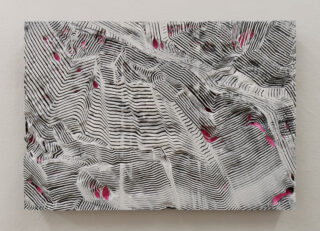 Ein rechteckiges Kunstwerk mit wellenförmigen schwarzen und weißen Konturlinien und mehreren unregelmäßigen rosa Bereichen, die durch die Rillen hervorschauen.