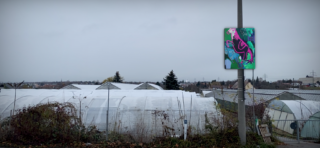 Eine Straßenlaterne mit einem bunten Dinosaurier-Gemälde steht vor Gewächshäusern, die mit weißem Plastik bedeckt sind, unter einem bedeckten Himmel.