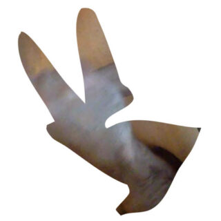 Die ausgeschnittene Form eines Vogels im Flug, innerhalb der Kontur ist ein Foto des Fells und der Haut eines grauen Tieres zu sehen.