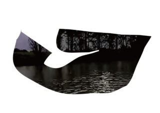 Eine Baumgruppe als Silhouette und ihre Spiegelung im Wasser, teilweise eingerahmt von einer abstrakten weiß-schwarzen Form.