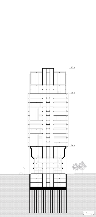Architektonische Schnittzeichnung eines mehrstöckigen Gebäudes mit beschrifteten Stockwerkshöhen, Kellergeschossen, Gründungspfählen, Bäumen und Straßenelementen zur Größenveranschaulichung.