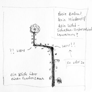 Handgezeichnete Skizze einer Pflanze, die am Rand eines Gartenwegs wächst, mit handschriftlichen deutschen Notizen und Pfeilen, die auf verschiedene Teile der Zeichnung zeigen.