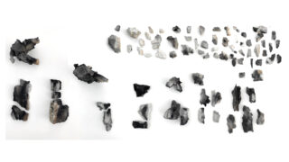 Verschiedene verkohlte und zersplitterte Materialstücke, wahrscheinlich verbranntes Holz oder Pflanzenreste, in Reihen auf weißem Hintergrund angeordnet.