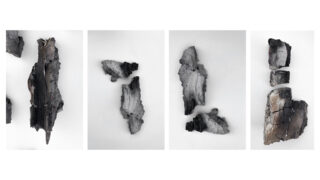 Vier Gruppen dunkler, verkohlter Holzfragmente sind auf einem weißen Hintergrund angeordnet, wobei die einzelnen Gruppen durch vertikale weiße Linien getrennt sind.