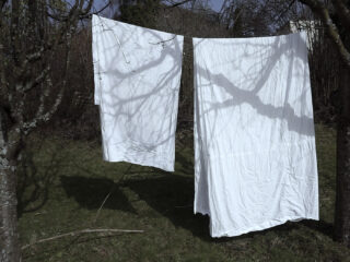 Zwei weiße Laken hängen draußen zwischen Bäumen auf einer Wäscheleine. Die Äste werfen Schatten auf die Laken und das darunterliegende Gras.