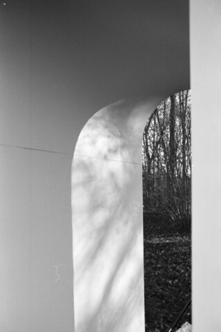 Schwarzweißfoto einer gewölbten architektonischen Struktur mit Licht- und Schattenmustern; durch die Öffnung sind kahle Bäume und Laub sichtbar.