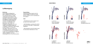 Infografik auf Deutsch, die erklärt, wie sich unterschiedliche Windstärken auf das Wohlbefinden im Freien auswirken, mit Abbildungen, die Menschen und Bäume bei unterschiedlichen Windgeschwindigkeiten zeigen.