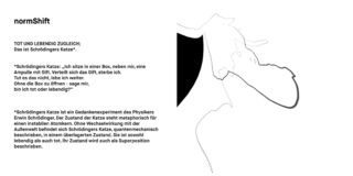 Schwarzweißgrafik einer Katze in einer Kiste, die Schrödingers Gedankenexperiment mit der Katze illustriert, mit einem deutschen Text, der das Konzept auf der linken Seite erklärt.