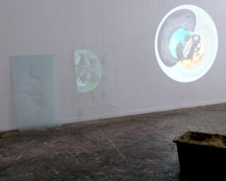 Über zwei durchscheinenden Paneelen wird ein kreisförmiges Bild einer Szene im Freien auf eine weiße Wand projiziert. In der Nähe steht auf dem Boden ein schwarzer Behälter mit Stroh.