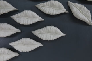 Auf einem dunklen, flachen Hintergrund sind mehrere weiße, blattförmige Objekte mit strukturierter Oberfläche angeordnet.