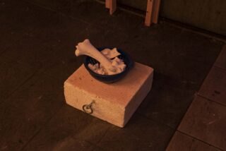 Eine blaue Schüssel mit großen weißen Tierknochen steht auf einem strukturierten weißen Block mit einem Metallring, der auf einem gefliesten Boden steht.