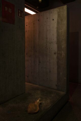 Ein schwach beleuchteter Betonflur mit einer Mäuseskulptur auf dem Boden in der Nähe einer Wand; über dem Flur ist ein Ausgangsschild sichtbar.