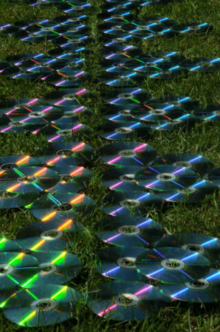 Mehrere Reihen von CDs sind auf Gras angeordnet, reflektieren buntes Licht und erzeugen Regenbogenmuster.