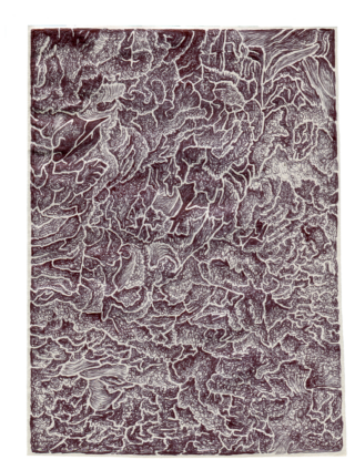 Abstraktes Bild mit komplizierten, wirbelnden Linien und Mustern in dunklem Kastanienbraun und Weiß, die an organische oder geologische Formen erinnern und den rechteckigen Rahmen ausfüllen.