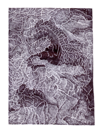 Detaillierte abstrakte Schwarzweißzeichnung mit komplizierten, organischen und überlappenden Mustern, die Blättern oder Zellen ähneln und den gesamten rechteckigen Rahmen ausfüllen.