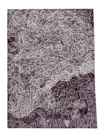 Abstrakte Schwarz-Weiß-Zeichnung mit komplizierten, labyrinthartigen Mustern, die den Rahmen ausfüllen, mit dichten, wirbelnden Formen oben und geometrischen Formen unten.