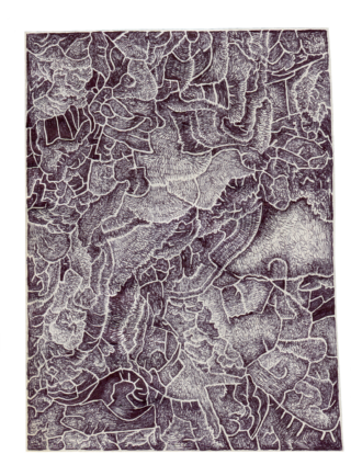 Abstrakte schwarz-weiße Strichzeichnung mit dichten, komplizierten Mustern und überlappenden organischen Formen, die eine strukturierte und komplexe visuelle Komposition erzeugen.