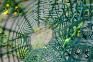 Grünes Drahtgeflecht bildet eine zylindrische Form, durch die Öffnung sind im Hintergrund gelbe Blumen und grüne Pflanzen zu sehen.