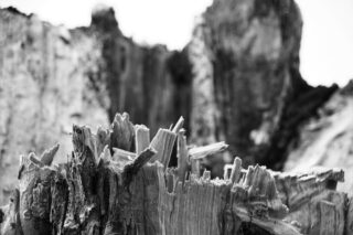 Nahaufnahme eines gezackten, abgebrochenen Baumstumpfs im Vordergrund mit unscharfen Felsklippen oder Baumstämmen im Hintergrund, in Schwarzweiß.