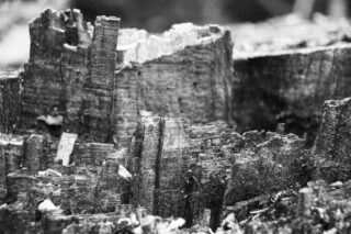 Nahaufnahme eines verwitterten Baumstumpfs in Schwarzweiß mit gezacktem, strukturiertem Holz und rauen Oberflächen.