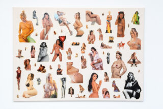 Eine Collage mit zahlreichen ausgeschnittenen Bildern nackter Frauen in verschiedenen Posen, angeordnet auf einem weißen Hintergrund.