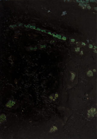 Eine überwiegend schwarze strukturierte Oberfläche mit verstreuten kleinen Flecken und Linien in Grün, die aus der Luftperspektive an Laub oder Vegetation erinnert.