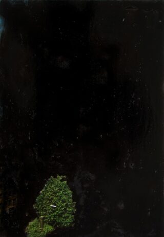 Am Boden einer dunklen, glänzenden und größtenteils schwarzen Oberfläche wächst ein kleiner Fleck grünes Moos.