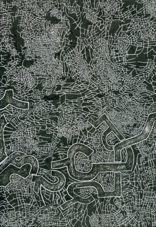 Abstraktes Schwarzweißbild mit komplizierten, ineinander verwobenen weißen Linien und Formen, die einer rissigen oder fragmentierten Oberfläche auf dunklem Hintergrund ähneln.