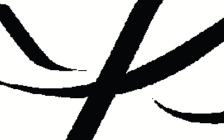 Nahaufnahme von kräftigen, schwarzen, sich kreuzenden Linien auf weißem Hintergrund, die ein abstraktes, geometrisches Muster mit scharfen Winkeln und Kurven erzeugen.