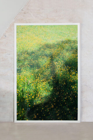 Gerahmtes Foto einer sonnenbeschienenen Wiese mit grünem Gras und verstreuten gelben Blumen, an eine helle, strukturierte Wand gelehnt.