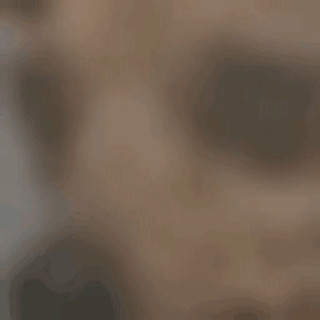 Nahaufnahme eines menschlichen Schädels mit Augenhöhlen, Nasenhöhle und Oberkiefer, wobei einige Zähne sichtbar sind.