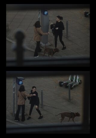 Zwei Frauen stehen auf einem Gehweg neben einem Parkpfosten, eine hält einen kleinen Hund, die andere einen braunen Hund an der Leine; im Hintergrund sind einige Elektroroller zu sehen.