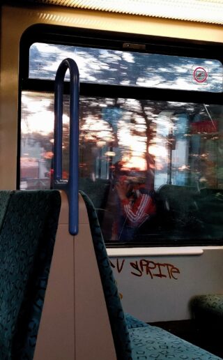 Eine Person sitzt bei Sonnenuntergang neben einem Zugfenster. Bäume und Sonnenlicht spiegeln sich im Glas. Auf der Sitztrennwand sind Graffiti zu sehen.