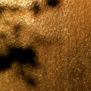 Nahaufnahme einer strukturierten braunen Oberfläche mit unregelmäßigen dunklen Flecken und Punkten.