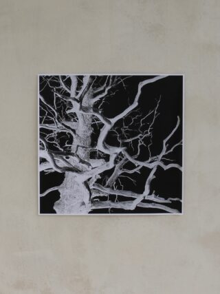 An einer schlichten beigen Wand hängt ein gerahmtes schwarz-weißes Kunstwerk mit Ästen.