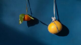Eine Orange und eine Mandarine mit Blättern hängen an Schnüren vor einer blauen Wand und werfen Schatten.