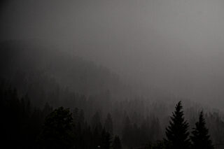 Dichter Nebel bedeckt einen bewaldeten Berghang, verdeckt die Wipfel der immergrünen Bäume und schafft eine gedämpfte, stimmungsvolle Atmosphäre.