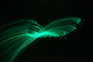 Grüne, dünne Lichtspuren krümmen sich und überlappen sich vor einem schwarzen Hintergrund, wodurch ein abstraktes, wellenartiges Muster entsteht.