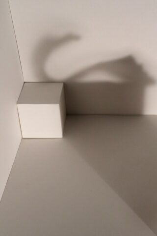 Ein einfacher weißer Würfel wirft einen Schatten an die Wand, der an den Kopf eines Drachen oder Dinosauriers erinnert.