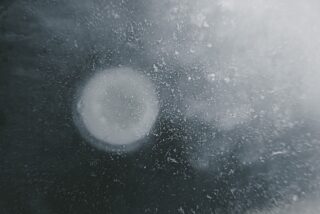 Nahaufnahme eines runden weißen Flecks und verstreuter Sprenkel auf einer verschwommenen, dunkelgrauen Oberfläche, die ein abstraktes und strukturiertes Erscheinungsbild erzeugen.