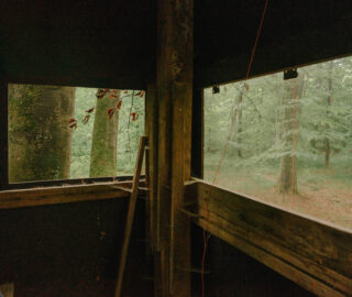 Innenansicht einer hölzernen Beobachtungshütte mit zwei rechteckigen Fenstern mit Blick auf einen grünen Wald.
