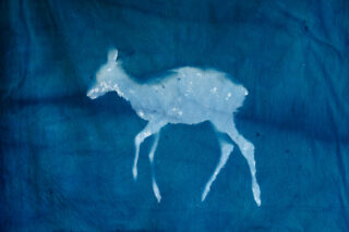 Vor einem strukturierten blauen Hintergrund erscheint die weiße Silhouette eines Hirsches mit sichtbaren Flecken, die einem Cyanotypie-Druck ähnelt.