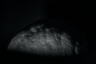 Eine Nahaufnahme einer strukturierten, abgerundeten Oberfläche, die von schwachem Licht beleuchtet wird, wobei der restliche Hintergrund größtenteils dunkel ist.